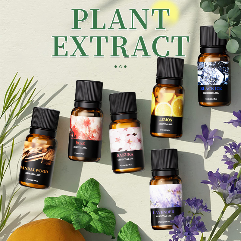 6Pcs 10ml Fragrance Essential  - Soap Making Kit Amazon ulasan dan harga